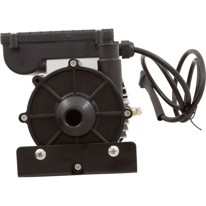 2 Pompe spa Lx WE10