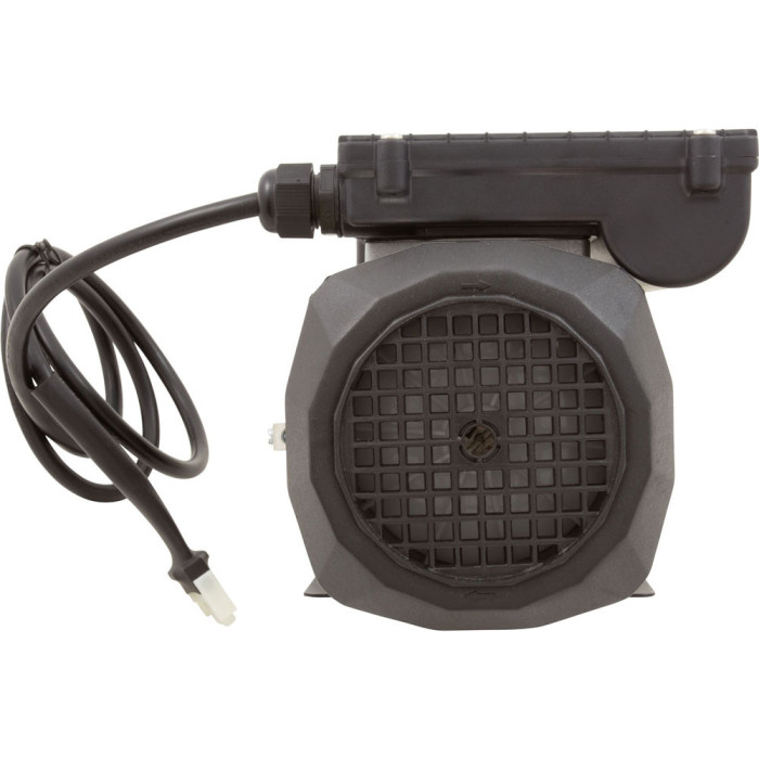 3 Pompe spa Lx WE10
