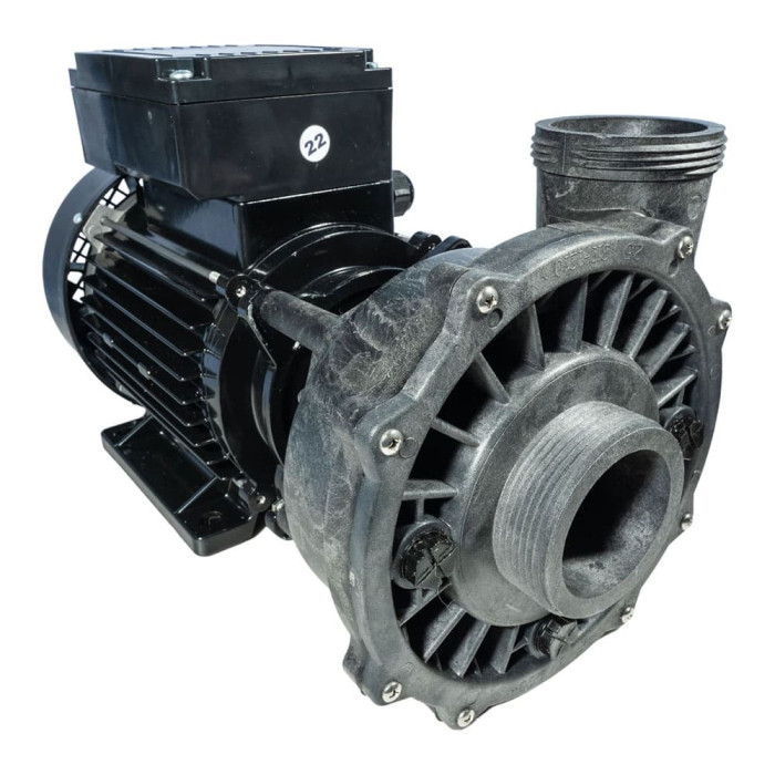 Pompe Executive 56 2.5HP Bi-vitesse pour spa