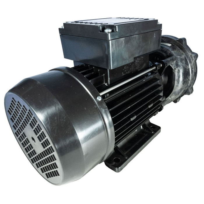 Pompe Executive 56 2HP Bi-vitesse - 2" x 2"