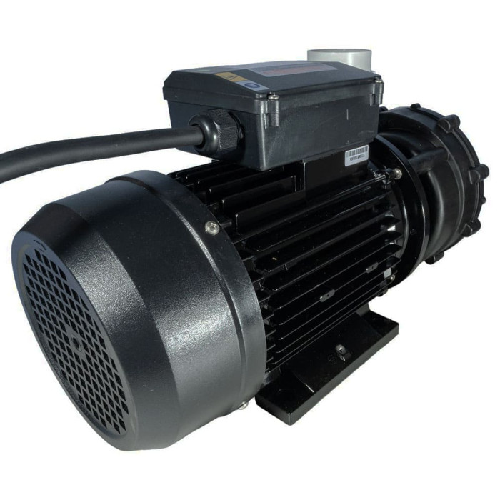7 Pompe spa Lx WP300-II - 3HP Bi-vitesse