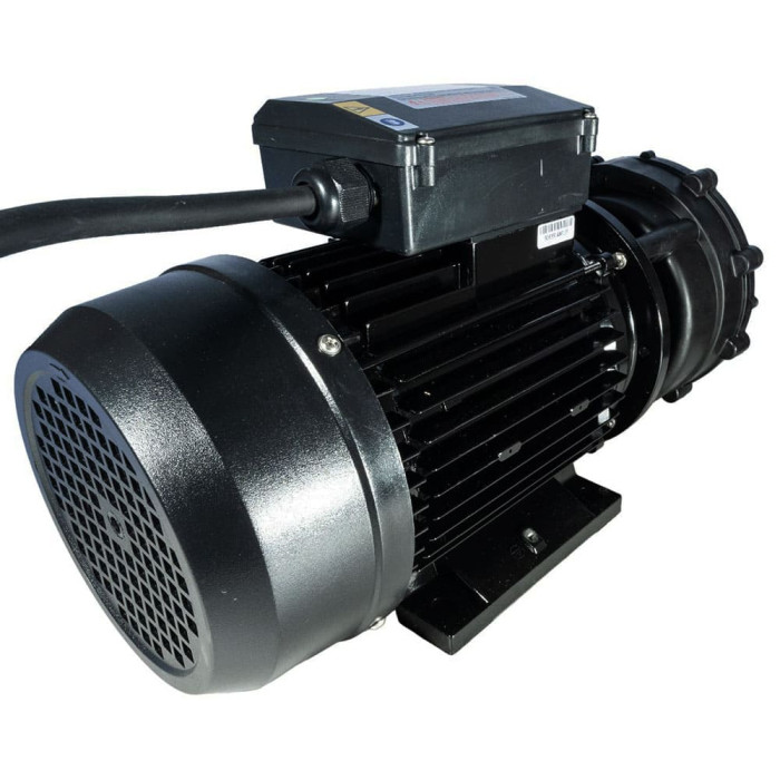 Pompe Lx WP300-II - 3HP Bi-vitesse
