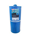 Filtre Jacuzzi 6000383A / 60521 (Anti-bactéries) / JP60M