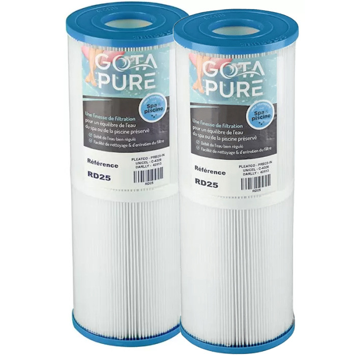 Lot de 2 Filtres PRB25-IN / C-4326 / 42513 / RD25