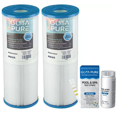 Lot de 2 Filtres PRB25-IN / C-4326 / 42513 / RD25