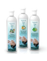 Pack 3 de parfums pour spa