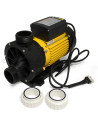 Pompe TDA100 Lx Whirlpool pour spa