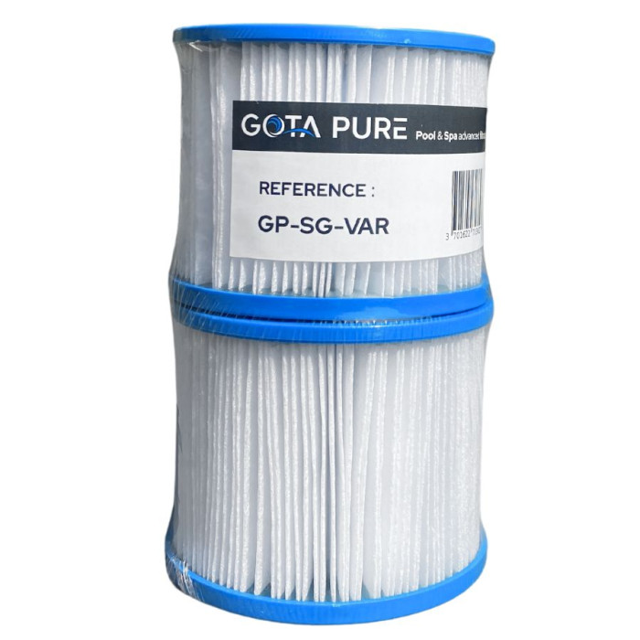 Filtre spa gonflable Clever spa Pack de 2 reference GP-SG-VAR