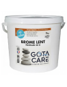 Brome Lent piscine spa 5kg pastille 20gr