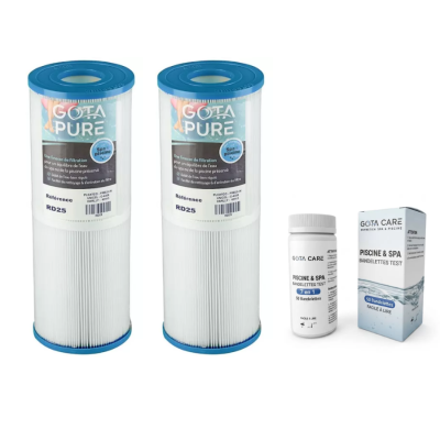 Lot de 2 Filtres PRB25-IN / C-4326 / 42513 / RD25