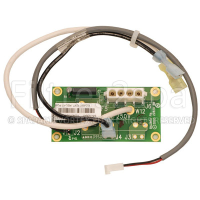 1 Carte dextension 53547 (GS-GL) pour spa