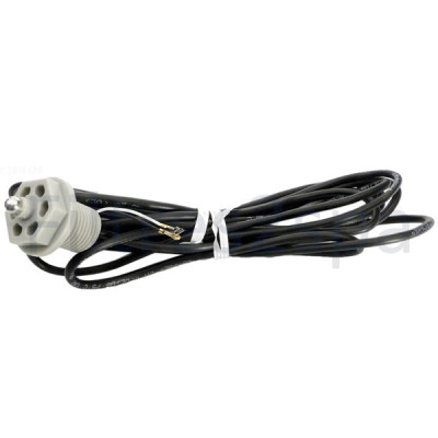 1 Sonde de température Sundance et Jacuzzi