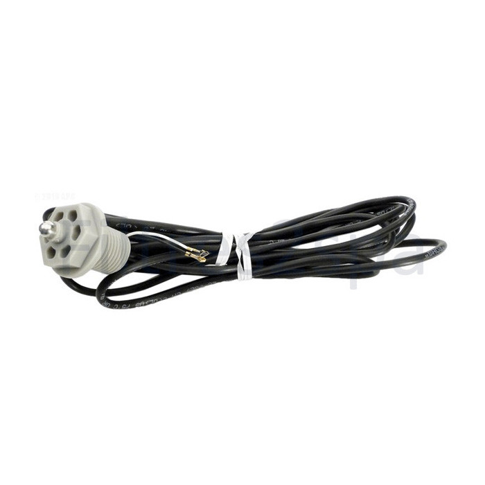 1 Sonde de température Sundance et Jacuzzi
