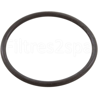 1 Joint pour pompe spa 1.5 pouce