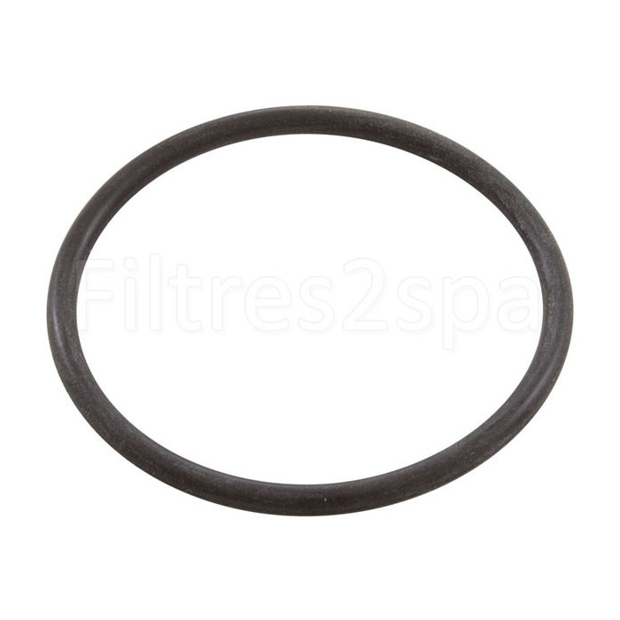 1 Joint pour pompe spa 1.5 pouce