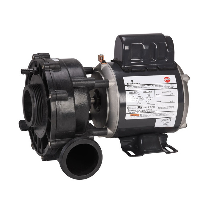 1 Pompe de circulation Sundance Spas