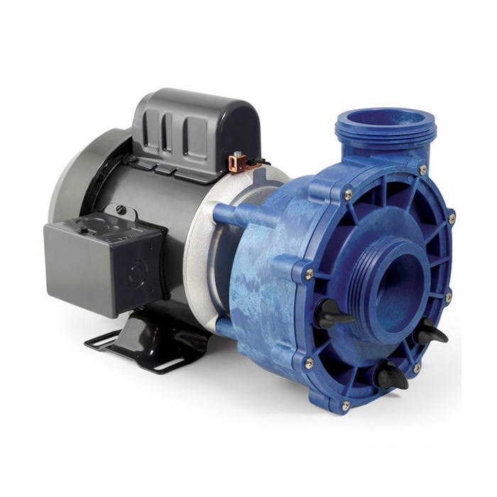 Pompe de circulation Emerson US Motor Sundance Spa / Jacuzzi