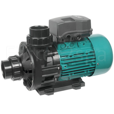 1 Pompe Espa Wiper3 300M pour piscine