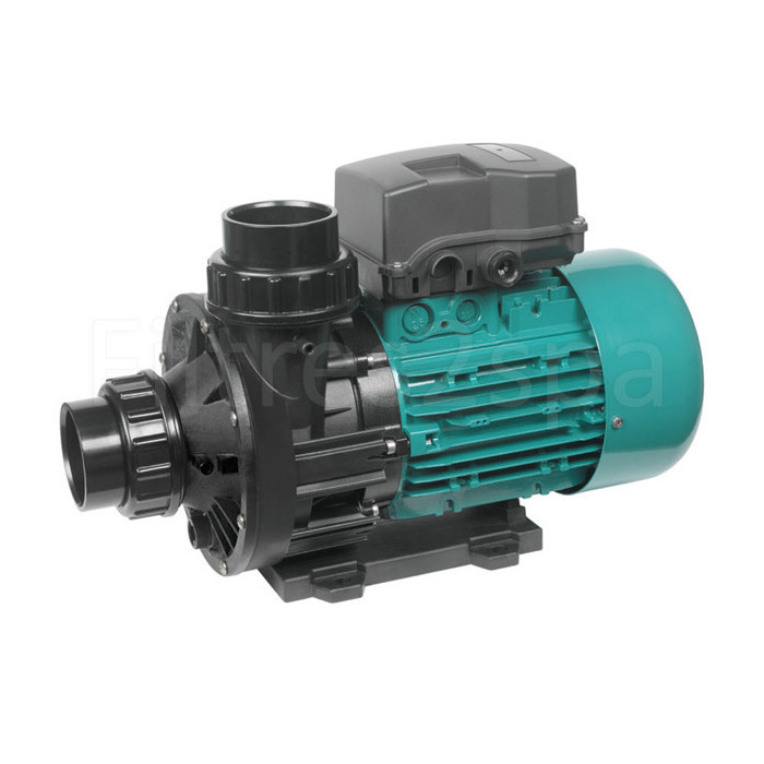 1 Pompe Espa Wiper3 300M pour piscine
