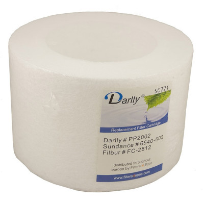 1 Filtre Microclean 6540-502 pour Sundance Spa