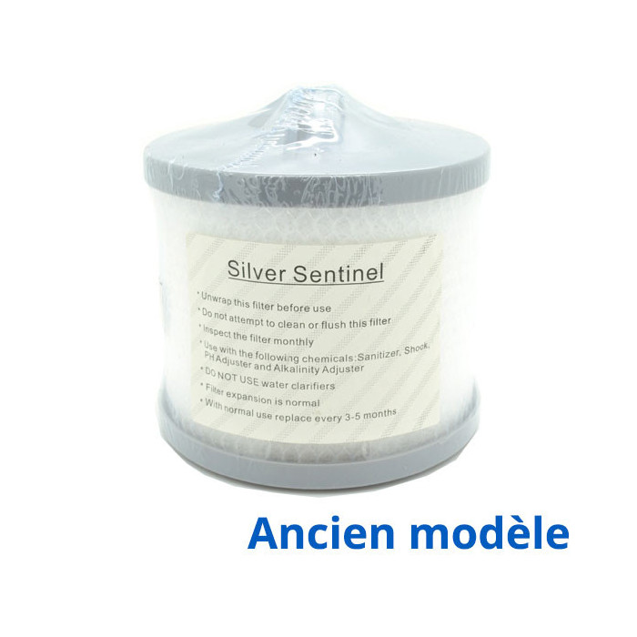 4 Petit Filtre Arctic Spa Silver Sentinel