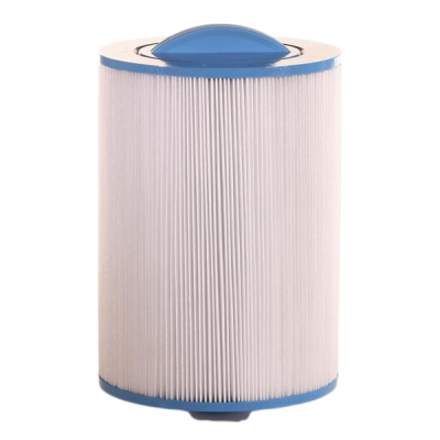 1 Filtre Coleman ou Vita Spa 100433