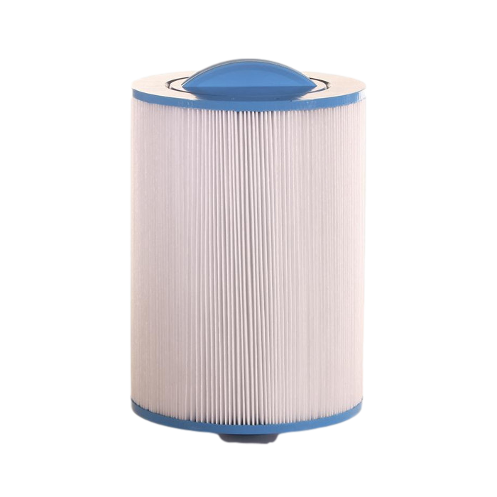 1 Filtre Coleman ou Vita Spa 100433