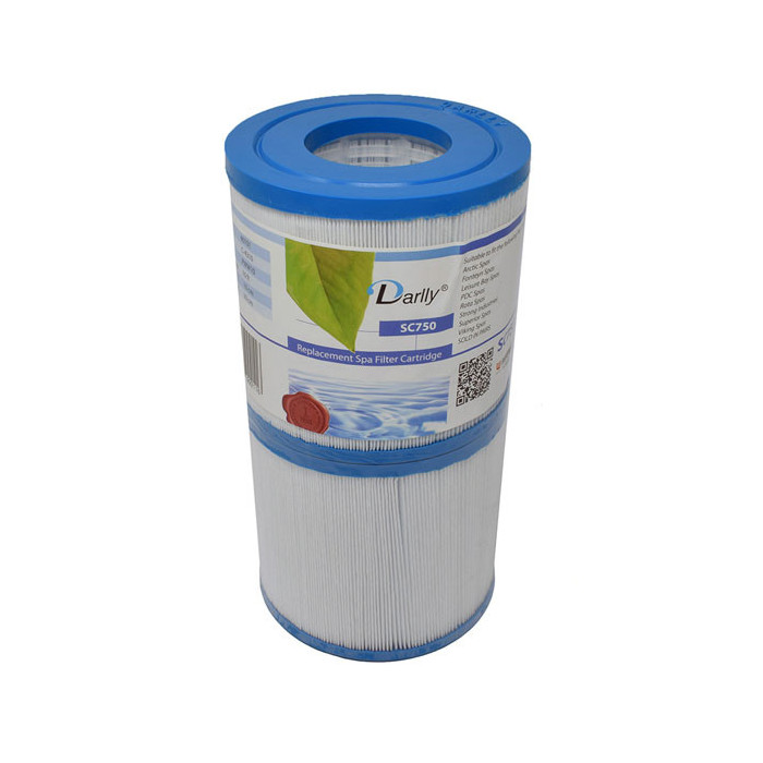 1 Filtre spa PWW10 / C4310 / 40101