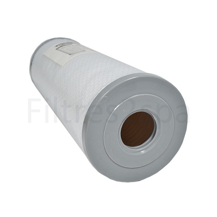 2 Micro Filtre Silver Sentinel - Arctic Filtro Spa