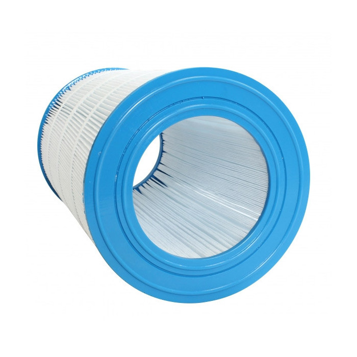 2 Cartouche filtre R173214 Clean and clear et predator 75