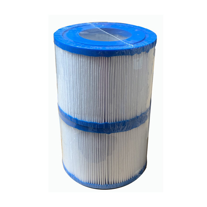 1 Filtre cartouche compatible Netspa