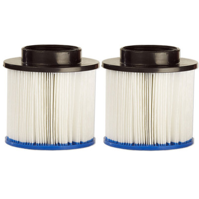 1 Pack de 2 Filtres Water Health