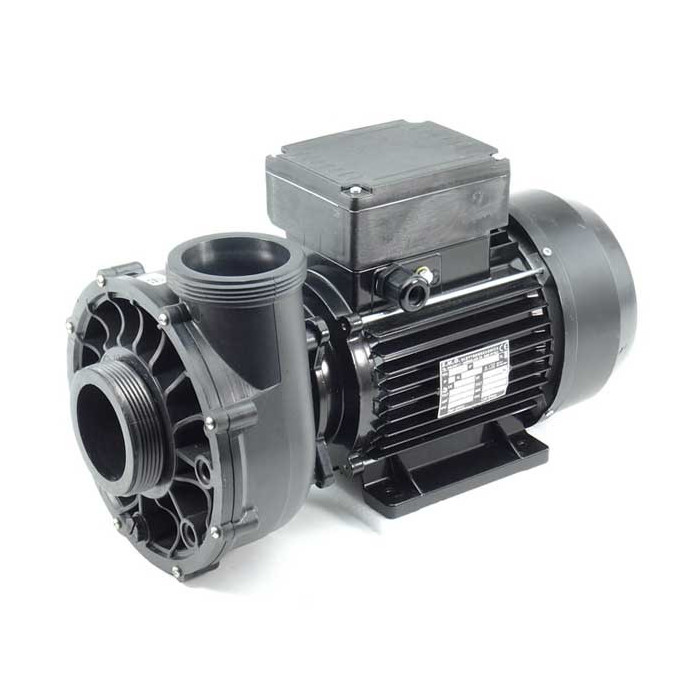 1 Pompe Waterway Viper mono-vitesse pour spa
