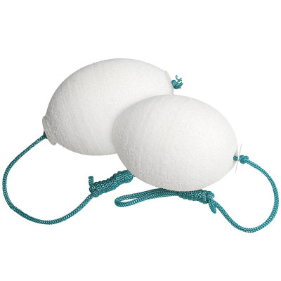 Eponges absorbante corps gras