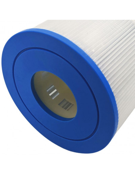 Filtre Piscine Gota Pure CW100/FCW100 - Cartouche Remplacement 100 Sq FT - Haute Qualité Pour Filtration Optimale
