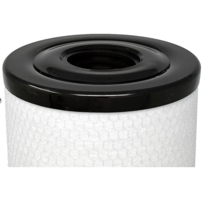Filtre Silver Sentinel Arctic Spa (Avant 2009) / PP7064 / SC842 c