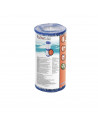 Filtre piscine Bestway type 1 / 58093 - Lot de 2