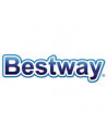 Filtres à cartouche piscine BestWay - Filtres2spa.com