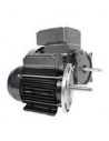 Moteurs de pompes spa EMG (Waterway)