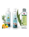 Accessoires de spa par marque : Intex, Bestway, Mspa, Netspa, Jacuzzi