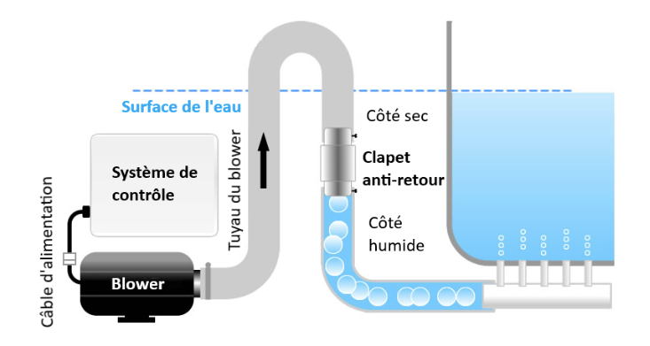 Installation Blower Spa
