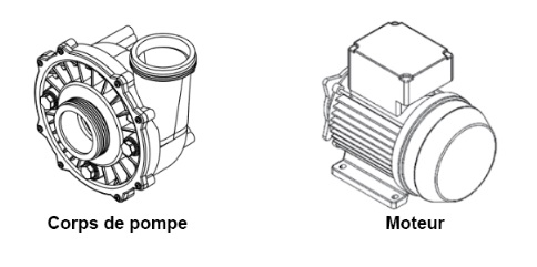 Moteur et corps de pompe spa