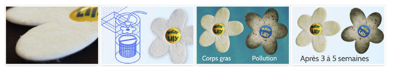 Fleur absorbante Water Lily