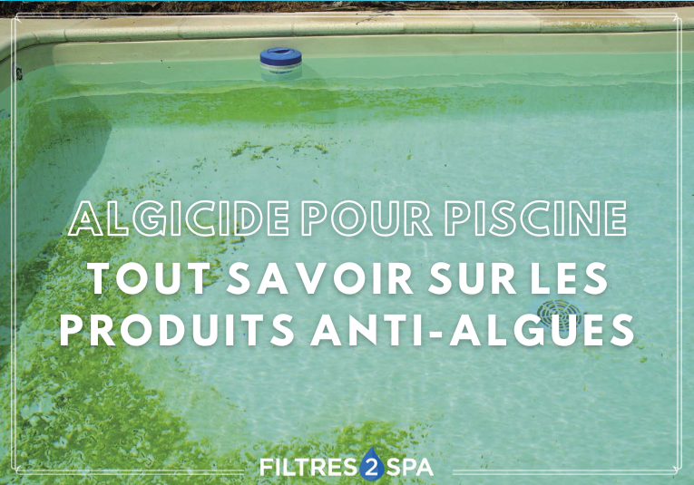 Les algues sont des organismes monocellulaires qui prolifèrent dans les piscines