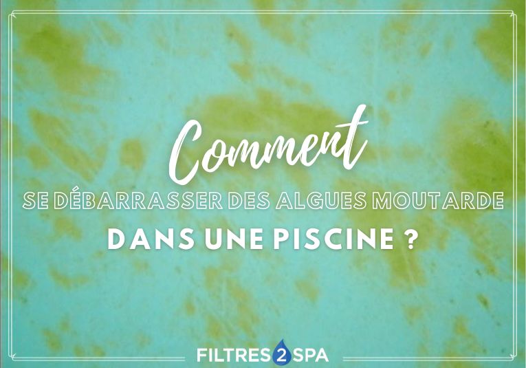 Comment se débarrasser des algues moutarde dans une piscine ?