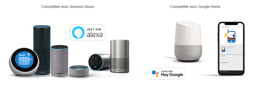 Module-wifi-spa-google-home-alexa
