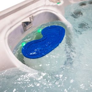 Filtre pour spas Hydropool Serenity