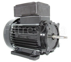 moteur pompe spa
