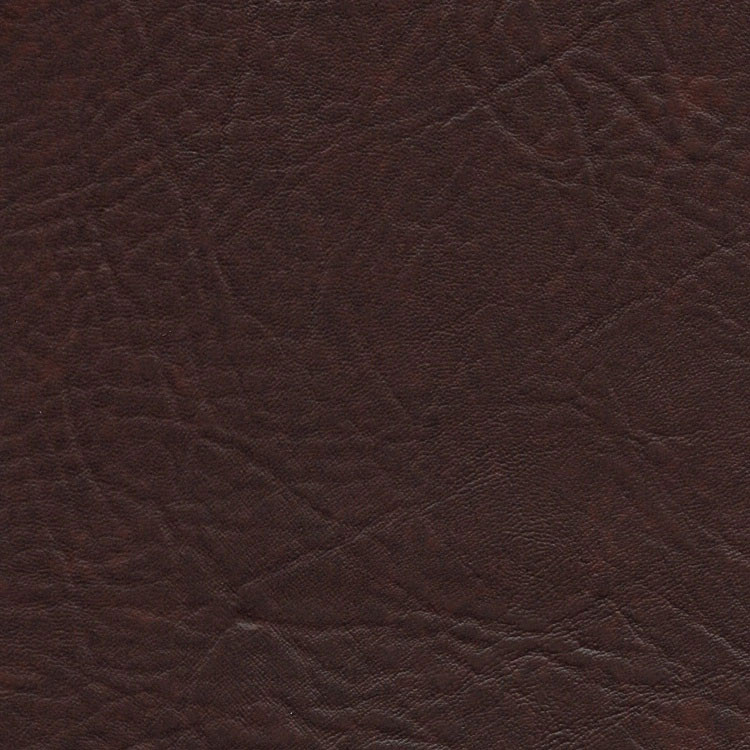Mocha