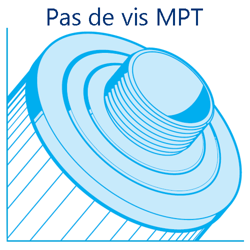 Pas-vis-MPT.png